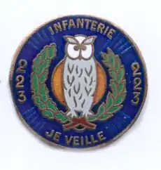 Image illustrative de l’article 223e régiment d'infanterie (France)