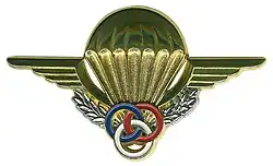Brevet de Moniteur parachutiste.