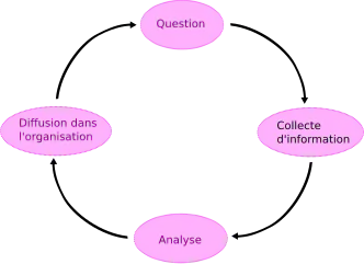 Schéma du cycle du renseignement.