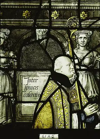 Image illustrative de l’article Nicolaas van Nieuwland