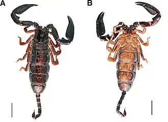Description de cette image, également commentée ci-après