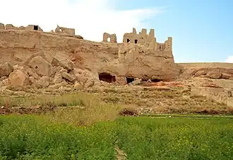 Image illustrative de l’article Château de Izadkhvast