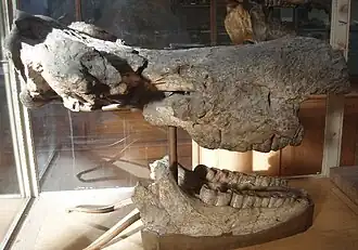 Description de cette image, également commentée ci-après