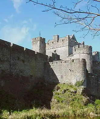 Image illustrative de l’article Château de Cahir