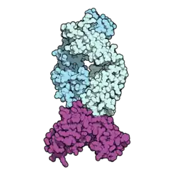Image illustrative de l’article Isatuximab