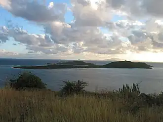 Image illustrative de l’article Culebrita