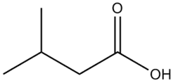 Image illustrative de l’article Acide isovalérianique