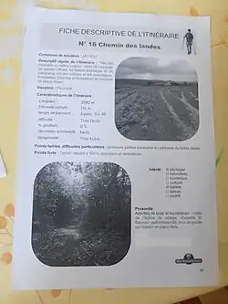 Itinéraire chemin des landes.