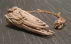 Main du Bouddha en ivoire, collections du Musée.