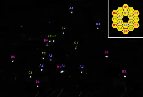 Image annotée du nom des 18 segments du miroir observant chacun la même étoile HD 84406.