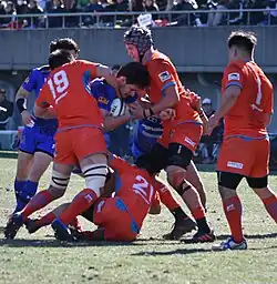 Description de l'image Jack Cornelsen 2019a.jpg.