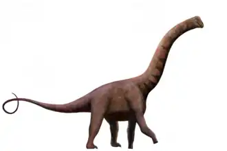 Description de l'image Jainosaurus septentrionalis life restoration.png.