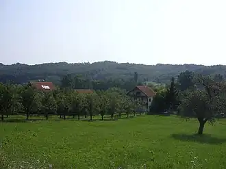 Jakovlje (Aleksinac)