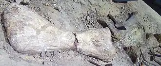 Description de cette image, également commentée ci-après