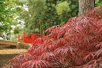 Image illustrative de l’article Jardin botanique de Bayonne