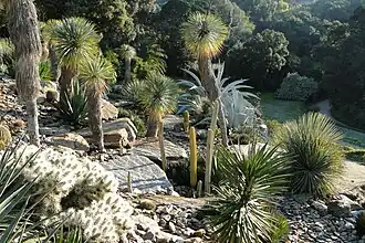 Jardin d'Amérique aride