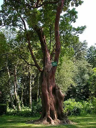 Description de cette image, également commentée ci-après