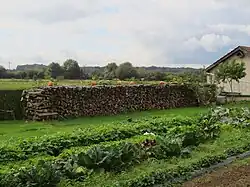 Jardin potager (France).