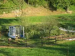 Jardin potager (France).