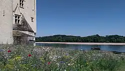 Photographie présentant les jardins sauvages du château implantés en hommage à Miriam Rothschild.