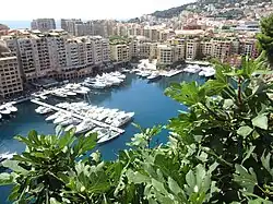 Fontvieille.
