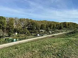 Jardins ouvriers, vus depuis la centrale de Cusset. La Rize est signalée en arrière-plan par la rangée de platanes.