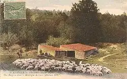 Jas dans la montagne de Lure au début du XXe&nbsp;siècle