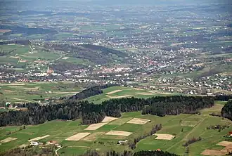 Grybów