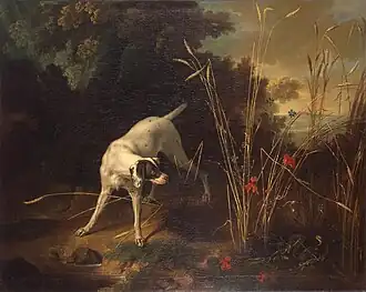 Un chien épagneul en arrêt devant deux perdrix dans des bleds, Jean-Baptiste Oudry. 129&nbsp;×&nbsp;162&nbsp;cm (agrandi)(Musée de l'Ermitage, Russie)