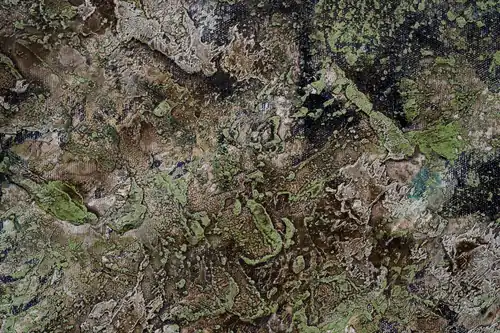 Peinture, détail, collection personnelle de l'artiste.