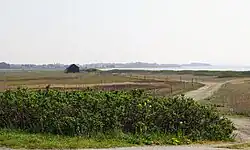Prairie sur l'île.