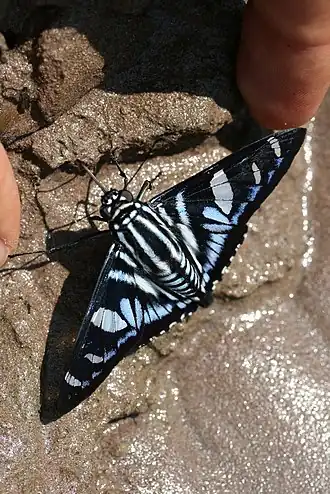 Description de cette image, également commentée ci-après