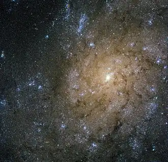 Image illustrative de l’article NGC 7793