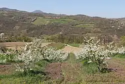 Paysage avec collines et champs