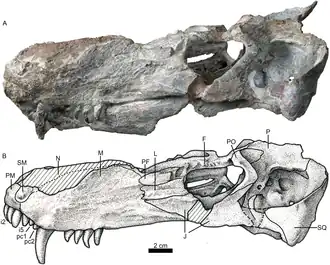 Description de cette image, également commentée ci-après