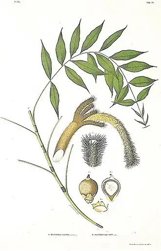 Description de cette image, également commentée ci-après