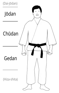 Les trois niveaux du corps au karaté : jodan (niveau tête), chudan (niveau buste), gedan (niveau cuisses).