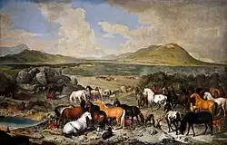 Des chevaux de couleurs variée dans un paysage, libres.