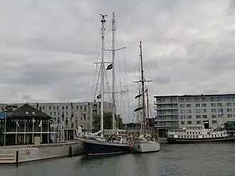 illustration de Wyvern av Aalesund