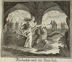 Ascalaphe est transformé en hibou.