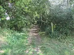 L'ancienne voie ferrée devenue chemin de randonnée.