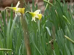 Hameau de Trois-Etots