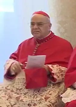 Image illustrative de l’article José Saraiva Martins