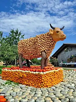 Sculpture de vache en courges