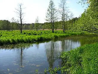 Image illustrative de l’article Piķurga