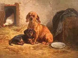 Deux chiens dans le poulailler.