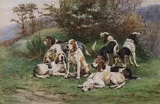 La meute de chiens de chasse.