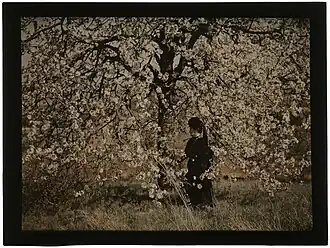 Femme en noir sous un arbre en fleurs.