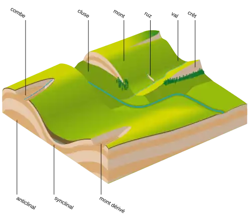 Schéma montrant : combe, anticlinal, synclinal, mont dérivé, cluse, mont, ruz, val et crêt.