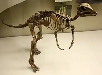 Description de l'image Juvenile hadrosaur.jpg.